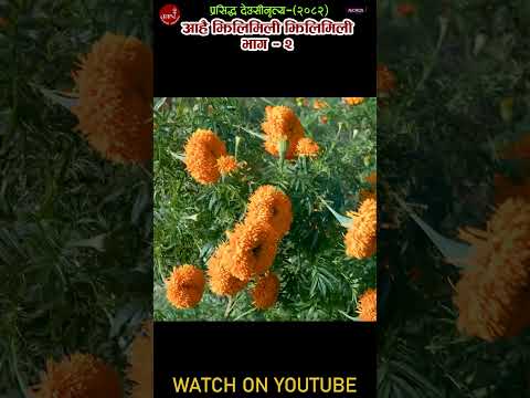 Ahaijhilimilijhilimili Tiharsong Deusivailo Musicnepal 