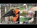 Парк Птиц "ВОРОБЬИ". Часть 1. | Park of Birds "Vorobyi". Part 1.