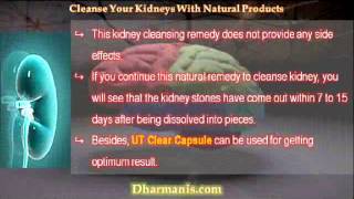 Natural Products To Cleanse Your Kidneys Fast
