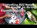 BEST Ways to Attract HUMMINGBIRDS Cleaning TIPS & Easy Recipe, Feeders SEE TAME Mom & NEST of BABIES