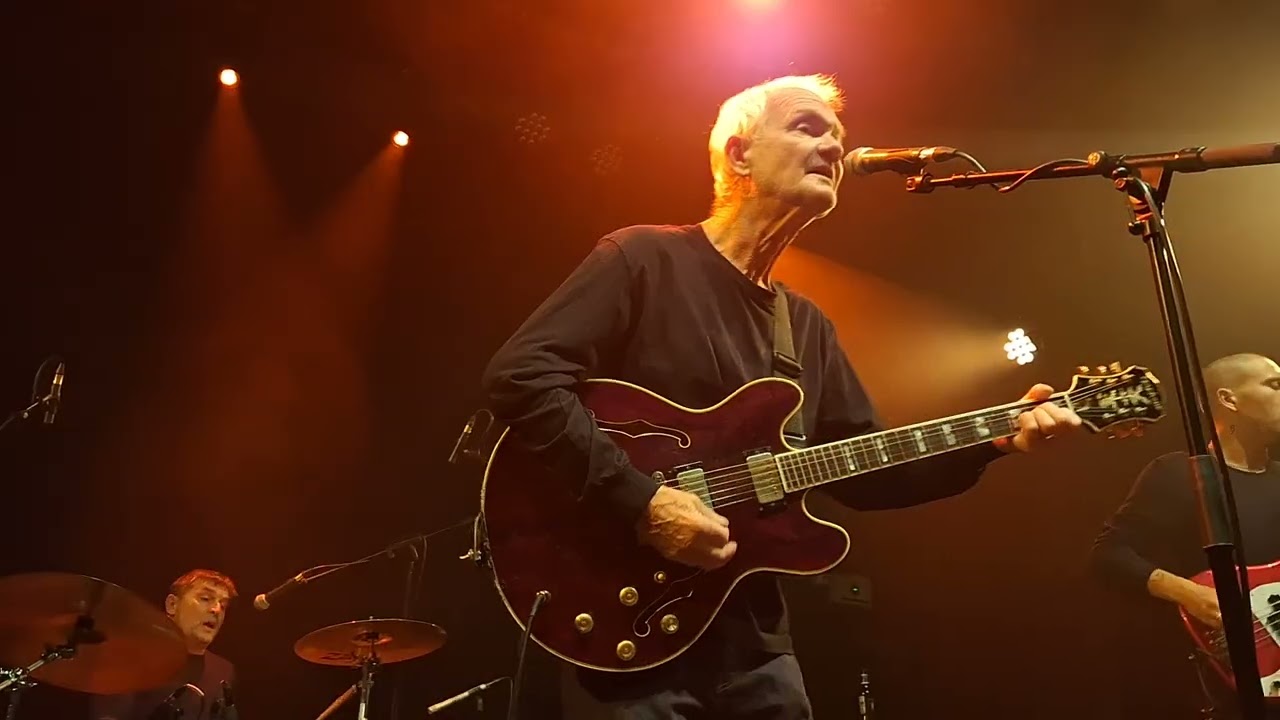 The House Of Love Shine on Live Clermont-Ferrand 02 10 2024