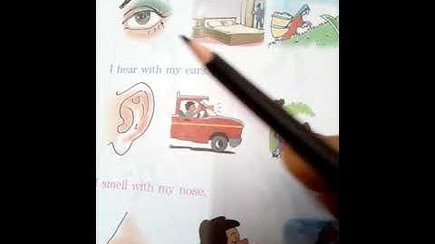 #Class 1EVS#ch-3 What My Body Parts Do for Me