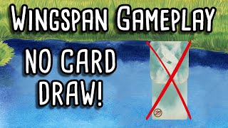 Wingspan Gameplay | Starting with no wetland birds!