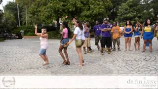 Alpha Kappa Alpha Stroll Off 2012 New Orleans Greek Picnic