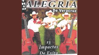 Video thumbnail of "Trio Alegria De Veracruz - Solo Veracruz Es Bello"