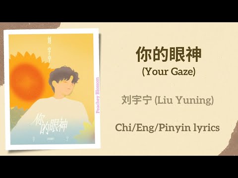 你的眼神 Your Gaze 刘宇宁 Liu Yuning 单曲 Single Chi Eng Pinyin Lyrics 