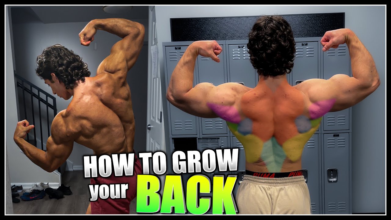 How to Grow your BACK!  Pull Day Workout 