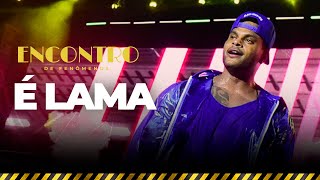 É Lama - Dvd O Encontro Ao Vivo Em Salvador