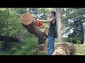 The $77.66 Chinese Clone Chainsaw Of Awesomeness