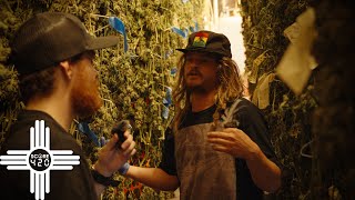New Mexico Grown // Score420 x Animas Farms - Pt. 2