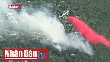 Nguy cơ cháy rừng do nắng nóng tại Australia