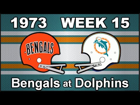 1973 Miami Dolphins - Week 15 - Divisional Playoff - MIAMI vs CINCINNATI BENGALS Radio Edit