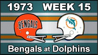 1973 Miami Dolphins - Week 15 - Divisional Playoff - MIAMI vs CINCINNATI BENGALS Radio Edit