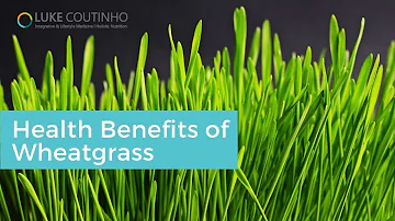 Concentrated Sun Power | Wheatgrass - A Miracle Medicine