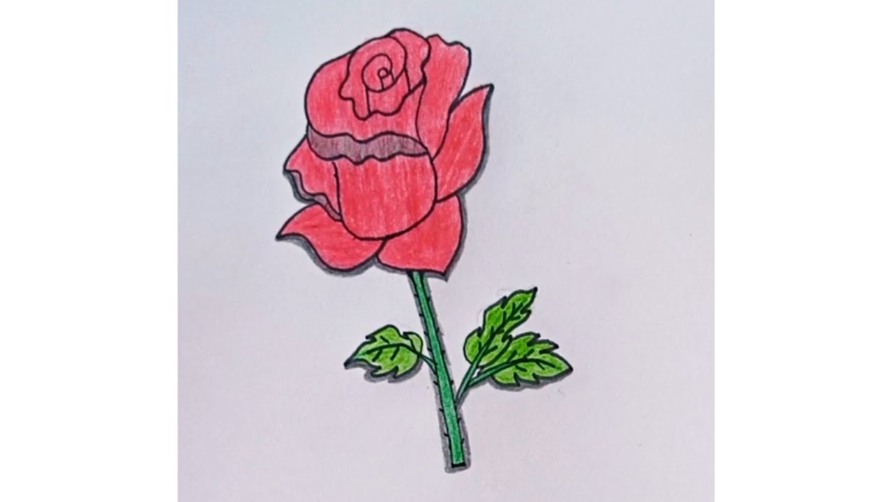 How to draw a rose 🌹