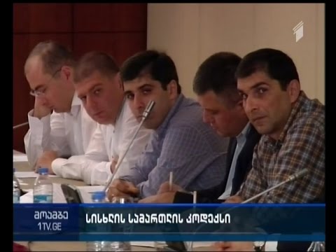 არასამთავრობოები საკანონმდებლო ხელისუფლების წარმომადგენლებს  ხვდებიან