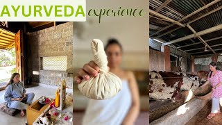 AYURVEDA centre in Himachal Pradesh - Experience, Massage Therapies, Prices, Benefits