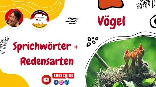 Hast du 'ne Meise? Vögel können uns viel erzählen.