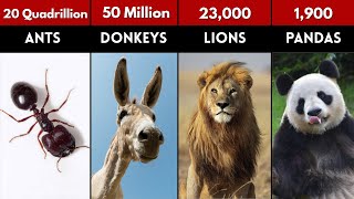 How Many Animals are in the World? | Top 50 Animal Populations | Animal Population Comparison 2025
