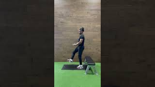 Assisted Single Leg Squats