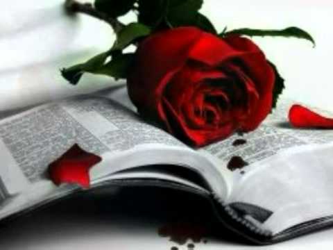 تامر العطار مبقتش عابش مدحت صالح