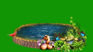 Beautiful Water Pond Green Screen / Background Video Effects / Green Screen water /Bird Green Screen