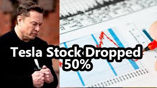 Tesla Stock Dropped 50% From Its High  History Says This Will Happen Next? #TeslaStock  #ElonMusk