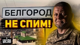 Что будет с Белгородом: Залужный принял решение! Украина оскалила зубы