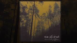 First Day Of All - Dissemulation Of Affliction [ 2008 ] DEATHCORE USA 