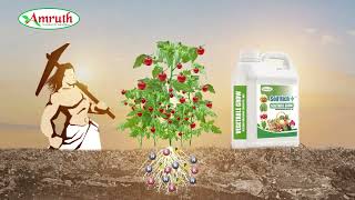 Boost Soil Health &amp; Crop Yield with Amruth Soil Rich | IIHR Approved| ಉತ್ತಮ ಬೆಳೆಗಾಗಿ ನೈಸರ್ಗಿಕ ಪರಿಹಾರ
