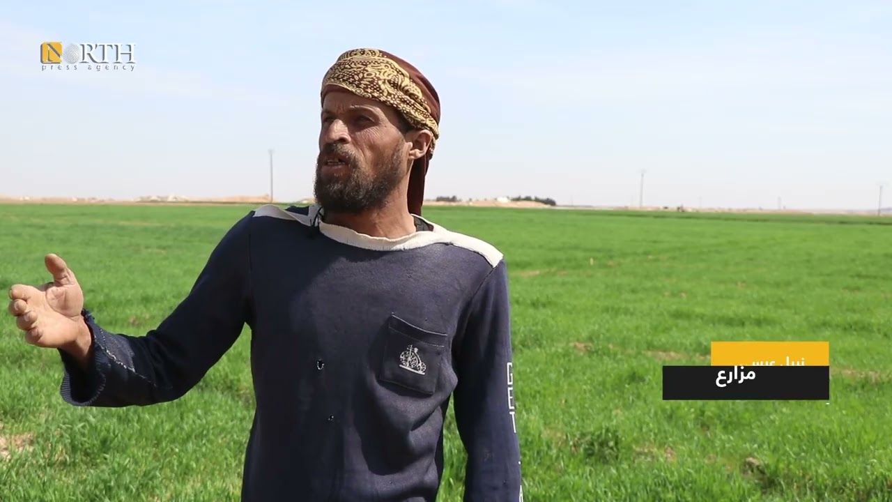 مزارعون في بلدة تل تمر بريف الحسكة يعلقون على الموسم الزراعي الحالي