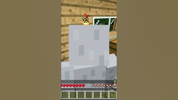 Minecraft Airplane Fails - #shorts BushBaby29