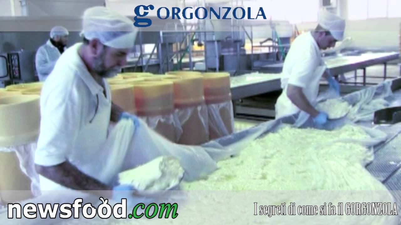 Come  si produce il Gorgonzola? Franco Vergnano: latte, caglio e sale - tutto qui