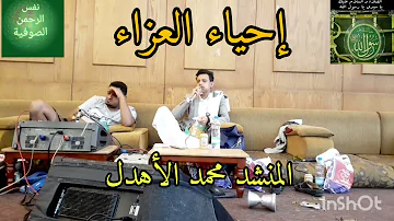ميدلي محمد الاهدل