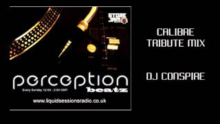 Download Lagu CONSPIRE - CALIBRE TRIBUTE MIX MP3