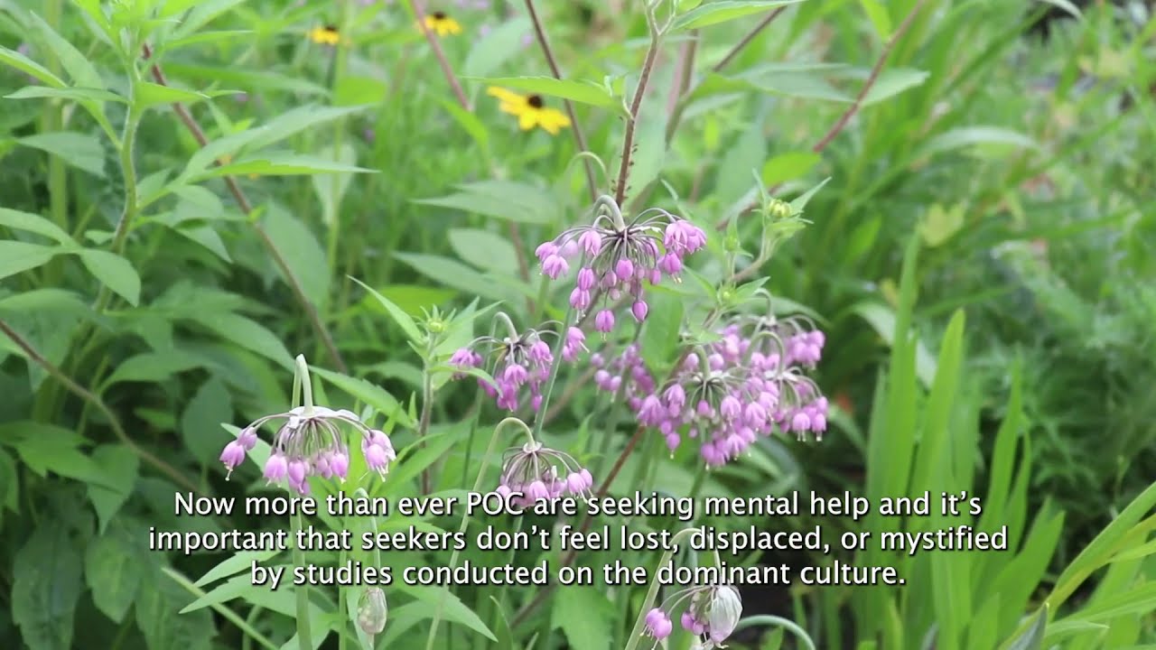 In Transition Media: Proceed With Caution