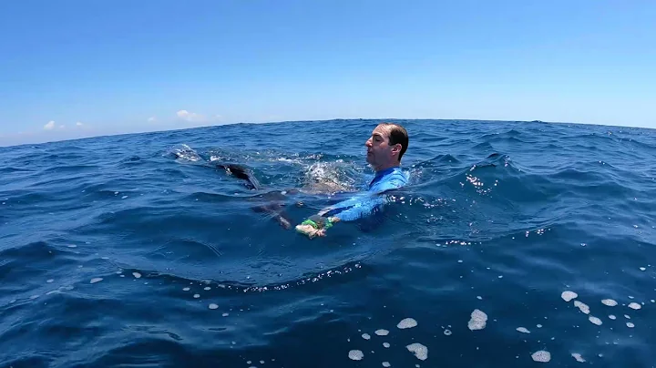 Jeff Shull - Underwater release of a Sailfish off ...