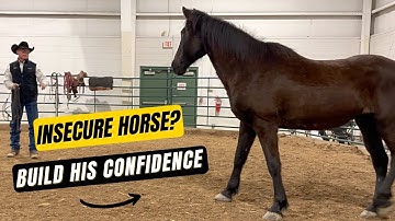 D/C  INSECURE HORSE? 🐎 How To Build His Confidence In Himself And In You - Deuce Part 1 of 3