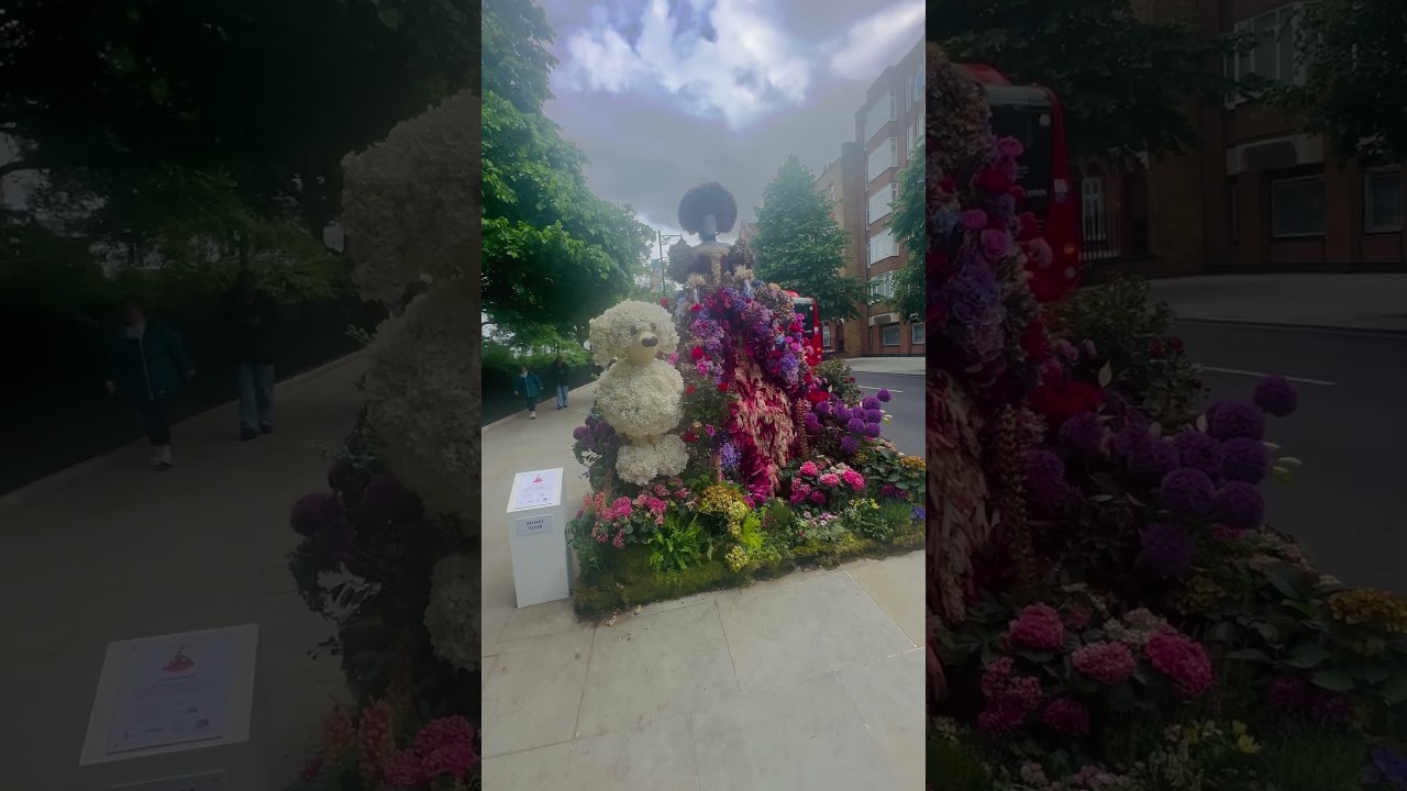 Chelsea Flower In Bloom Festivals London 2025