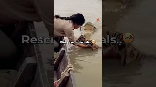 Rescue Animals