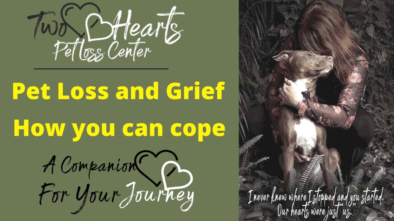Two Hearts Pet Loss Center Coleen Ellis YouTube