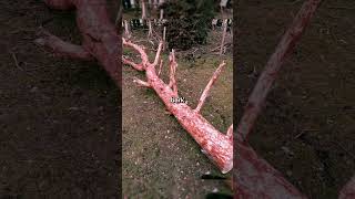 Rare Photos You've Never Seen Before [Part 166