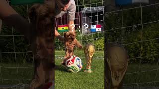 Match 23: Ghana vs Panama FIFA World Cup #football #soccer #футбол review highlights