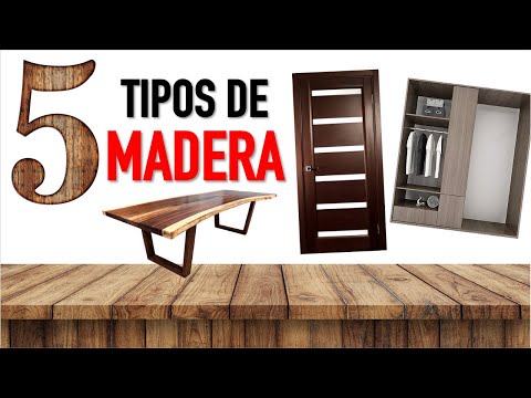 Video: Esm alte para madera: resumen, tipos, características