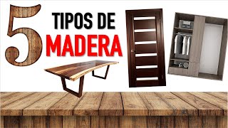 Conoce 5 TIPOS DE MADERAS para tus PROYECTOS * Características y Usos *