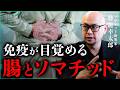 免疫・若さ・寿命を決める"腸とソマチッド"の関係|小田真嘉×勢能幸太郎