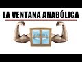 Ventana ANABÓLICA: ¿Cómo aprovecharla para MAXIMIZAR tus GANANCIAS musculares?