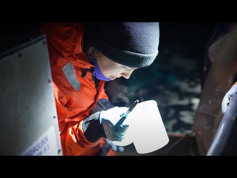 Ocean Occupation Profile | Kirstin Meyer-Kaiser, Ph.D. 👩‍🔬