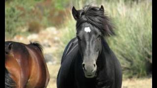 Argentiera By Gianfry