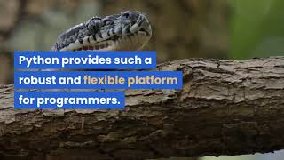 Python Training And Placement Assistance With H1 Spons 2020 -  2021